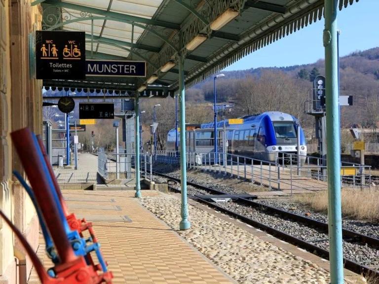 Chez Michele Et Philippe Διαμέρισμα Munster  Εξωτερικό φωτογραφία